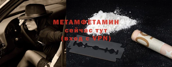 прущие грибы Богородск