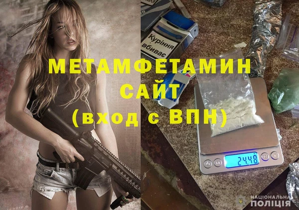 прущие грибы Богородск