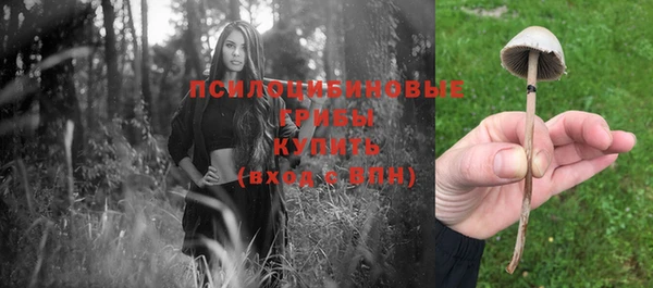 прущие грибы Богородск
