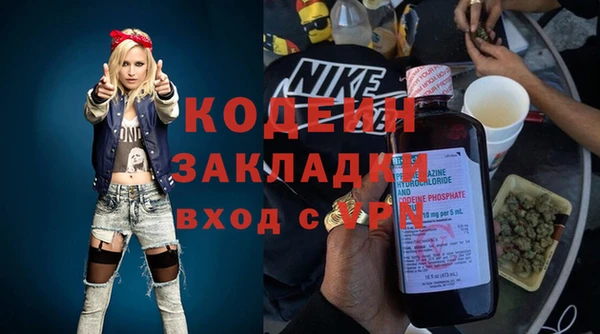 прущие грибы Богородск