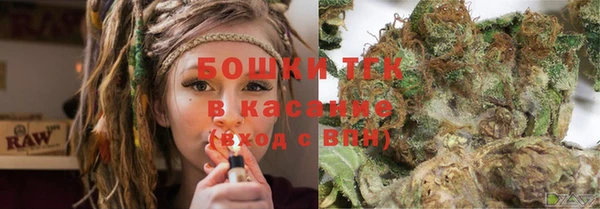прущие грибы Богородск