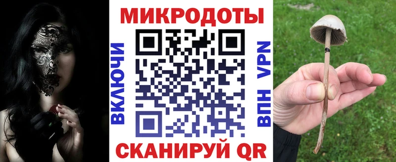 Псилоцибиновые грибы GOLDEN TEACHER  закладка  Чегем 